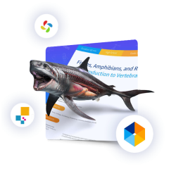 i3LEARNHUB digitaalne haridusstuudio