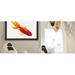 Fixed Frame Screen Frame Vision: 1.8 - 5.2m