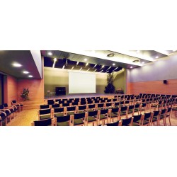 Electric screens Euroscreen Thor: 2.5 - 4.25m